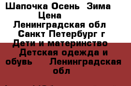 Шапочка Осень -Зима  › Цена ­ 350 - Ленинградская обл., Санкт-Петербург г. Дети и материнство » Детская одежда и обувь   . Ленинградская обл.